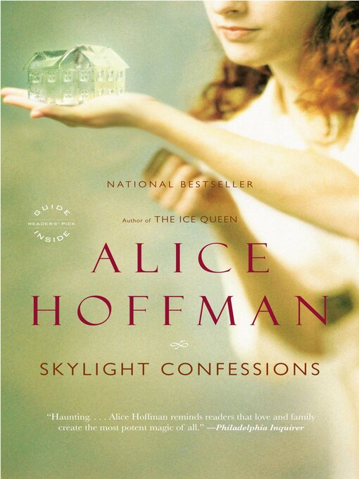 Cover image for Skylight Confessions